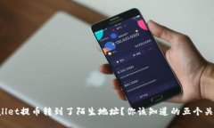 : “TPWallet提币转到了陌生