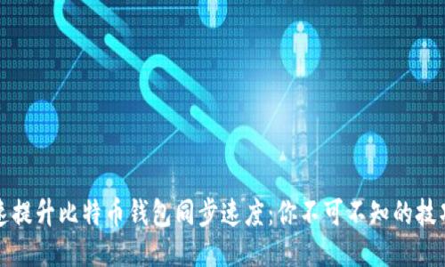 如何快速提升比特币钱包同步速度：你不可不知的技巧与工具